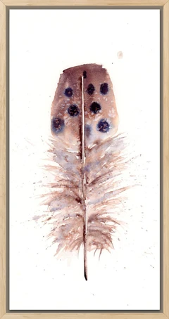 Image of a feather watercolor painting by Shayna Larsen, originals & prints available