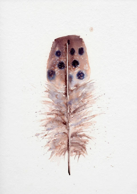 Image of a feather watercolor painting by Shayna Larsen, originals & prints available