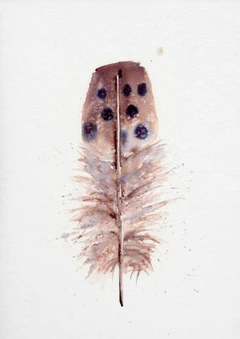 Image of a feather watercolor painting by Shayna Larsen, originals & prints available