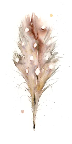 Image of a feather watercolor painting by Shayna Larsen, originals & prints available