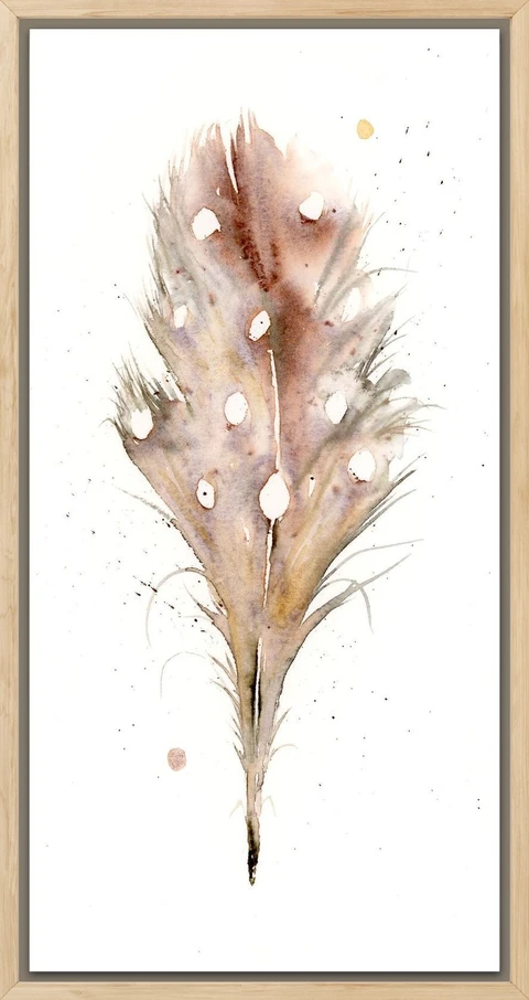 Image of a feather watercolor painting by Shayna Larsen, originals & prints available