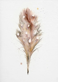 Image of a feather watercolor painting by Shayna Larsen, originals & prints available