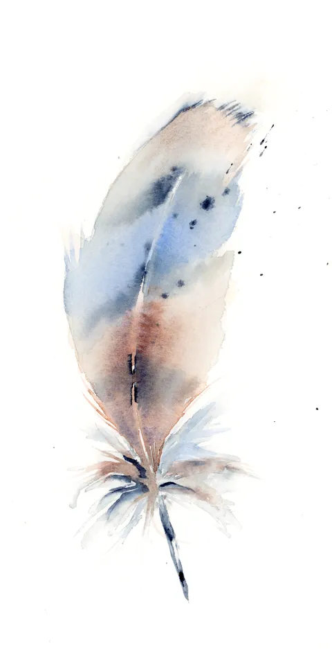Image of a feather watercolor painting by Shayna Larsen, originals & prints available