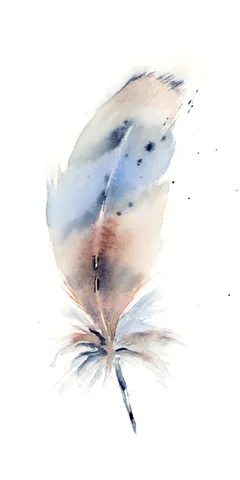 Image of a feather watercolor painting by Shayna Larsen, originals & prints available