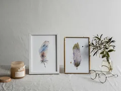 Image of a feather watercolor painting by Shayna Larsen, originals & prints available