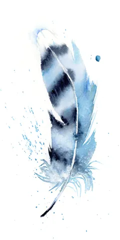 Image of a feather watercolor painting by Shayna Larsen, originals & prints available