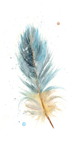 Image of a feather watercolor painting by Shayna Larsen, originals & prints available