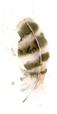 Image of a feather watercolor painting by Shayna Larsen, originals & prints available