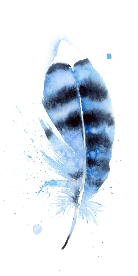 Image of a feather watercolor painting by Shayna Larsen, originals & prints available