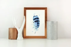 Image of a feather watercolor painting by Shayna Larsen, originals & prints available