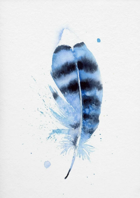 Image of a feather watercolor painting by Shayna Larsen, originals & prints available