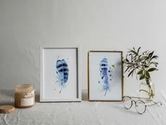 Image of a feather watercolor painting by Shayna Larsen, originals & prints available