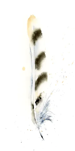 Image of a feather watercolor painting by Shayna Larsen, originals & prints available