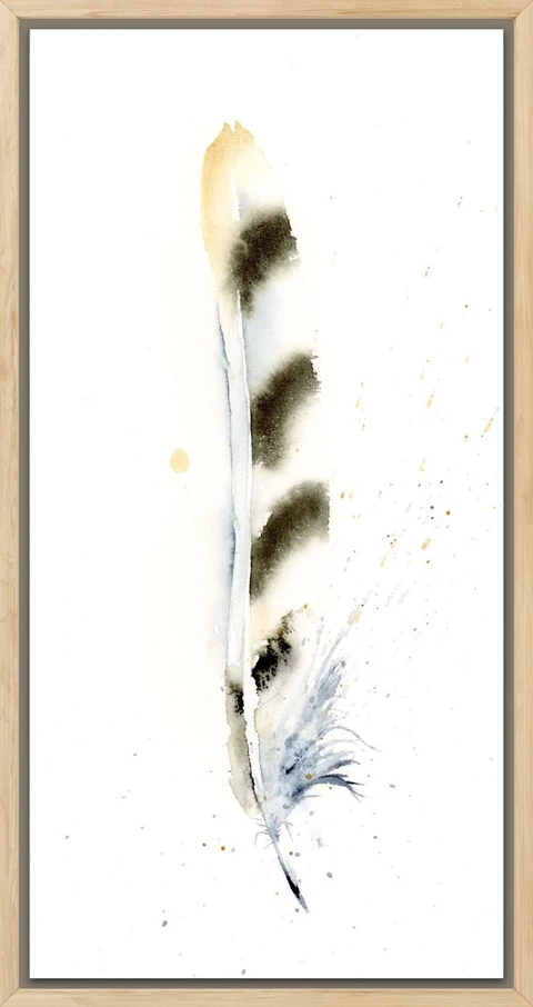 Image of a feather watercolor painting by Shayna Larsen, originals & prints available