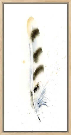 Image of a feather watercolor painting by Shayna Larsen, originals & prints available