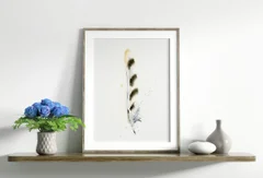 Image of a feather watercolor painting by Shayna Larsen, originals & prints available