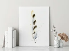 Image of a feather watercolor painting by Shayna Larsen, originals & prints available