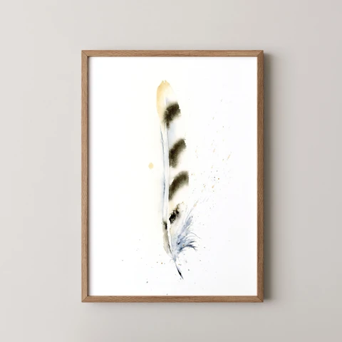 Image of a feather watercolor painting by Shayna Larsen, originals & prints available