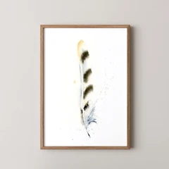 Image of a feather watercolor painting by Shayna Larsen, originals & prints available