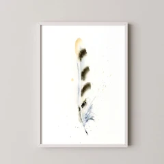 Image of a feather watercolor painting by Shayna Larsen, originals & prints available