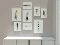 Image of a feather watercolor painting by Shayna Larsen, originals & prints available