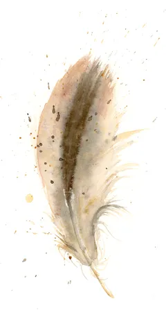 Image of a feather watercolor painting by Shayna Larsen, originals & prints available