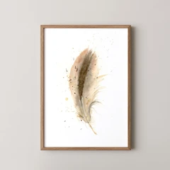 Image of a feather watercolor painting by Shayna Larsen, originals & prints available