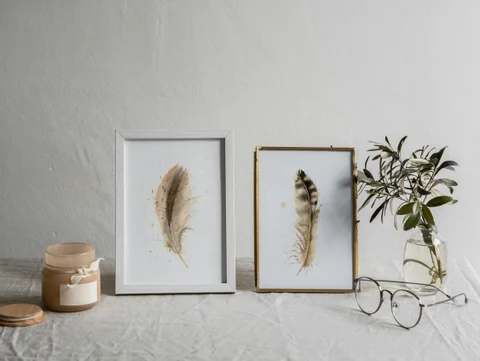 Image of a feather watercolor painting by Shayna Larsen, originals & prints available