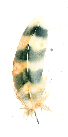Image of a feather watercolor painting by Shayna Larsen, originals & prints available