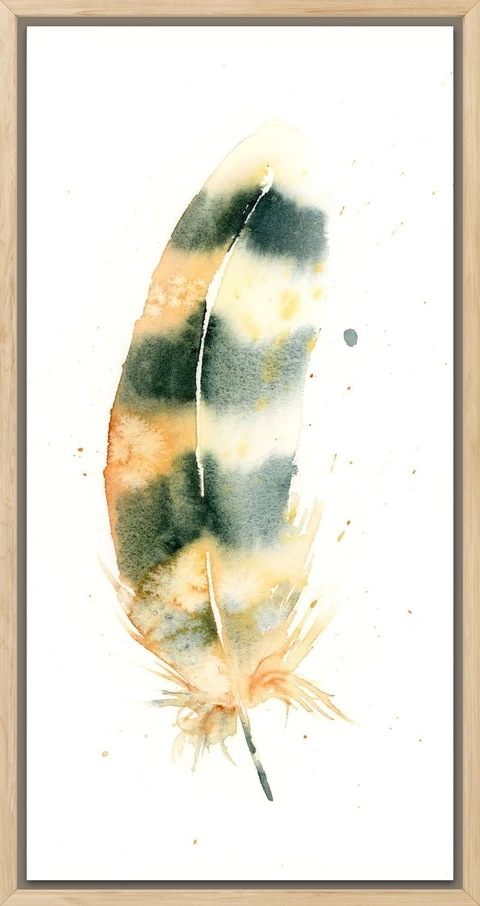 Image of a feather watercolor painting by Shayna Larsen, originals & prints available
