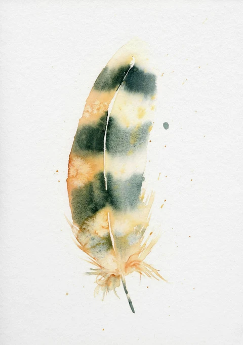 Image of a feather watercolor painting by Shayna Larsen, originals & prints available
