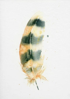 Image of a feather watercolor painting by Shayna Larsen, originals & prints available