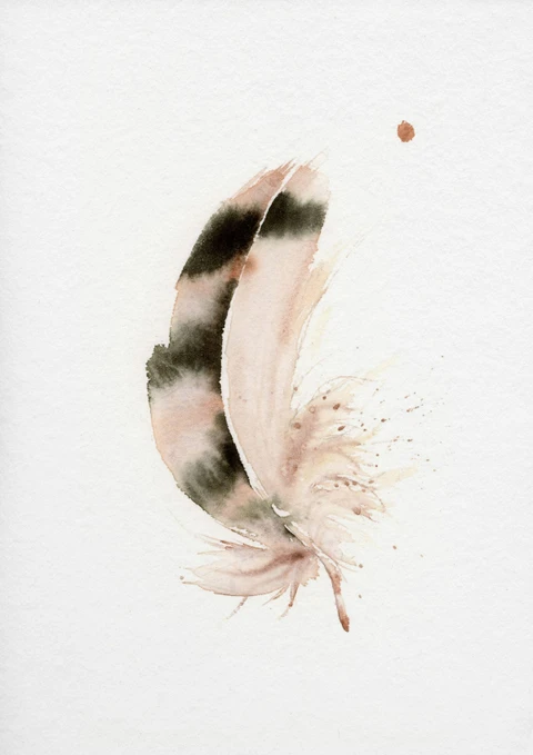 Image of a feather watercolor painting by Shayna Larsen, originals & prints available