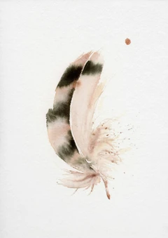Image of a feather watercolor painting by Shayna Larsen, originals & prints available