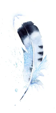 Image of a feather watercolor painting by Shayna Larsen, originals & prints available