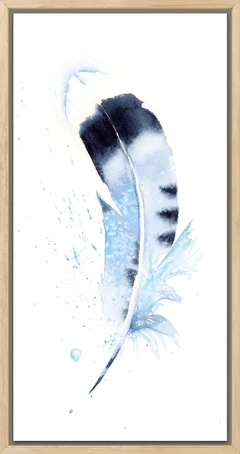 Image of a feather watercolor painting by Shayna Larsen, originals & prints available