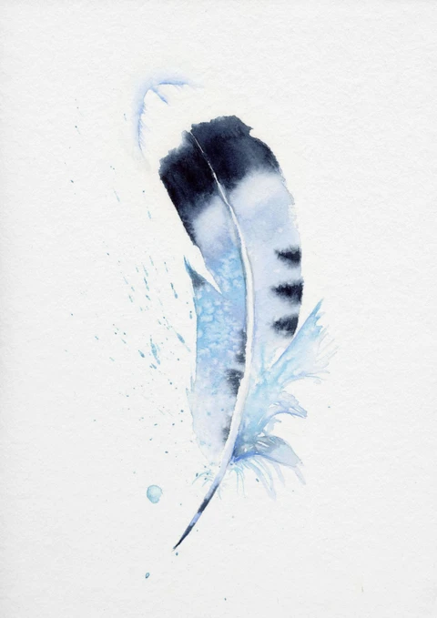 Image of a feather watercolor painting by Shayna Larsen, originals & prints available