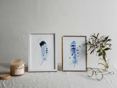 Image of a feather watercolor painting by Shayna Larsen, originals & prints available