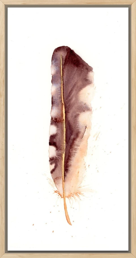 Image of a feather watercolor painting by Shayna Larsen, originals & prints available