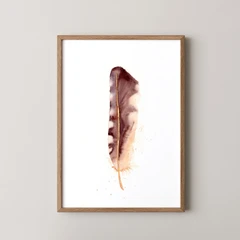 Image of a feather watercolor painting by Shayna Larsen, originals & prints available