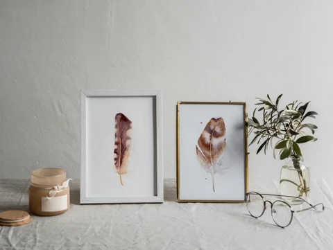 Image of a feather watercolor painting by Shayna Larsen, originals & prints available