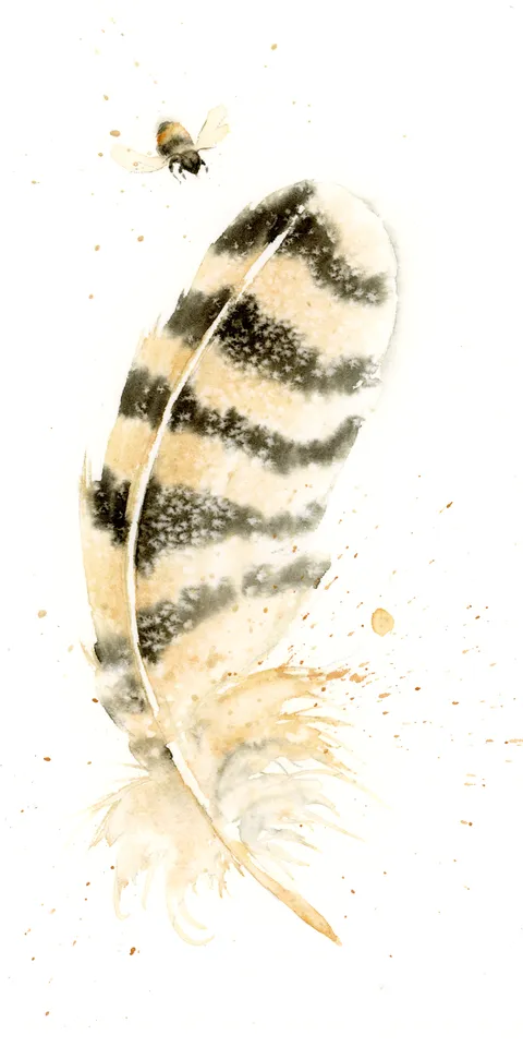 Image of a feather watercolor painting by Shayna Larsen, originals & prints available