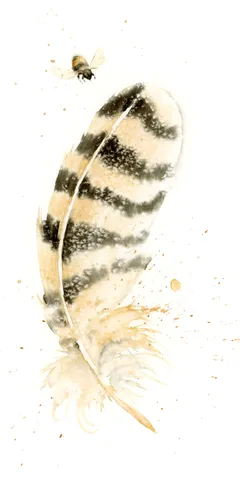 Image of a feather watercolor painting by Shayna Larsen, originals & prints available