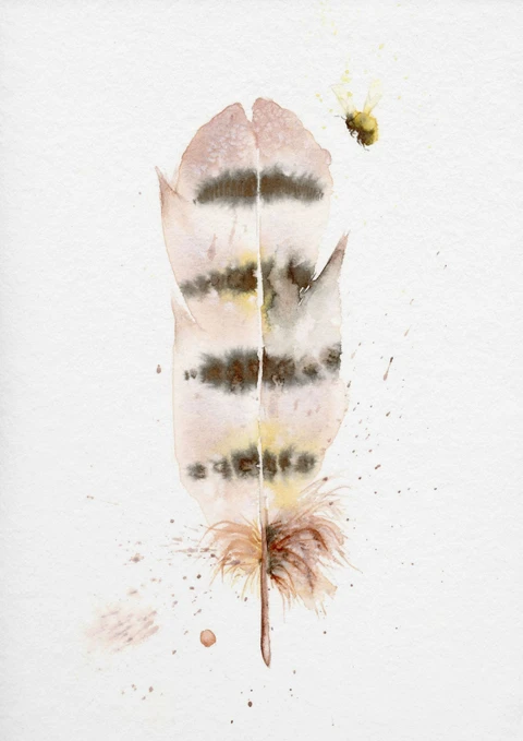 Image of a feather watercolor painting by Shayna Larsen, originals & prints available