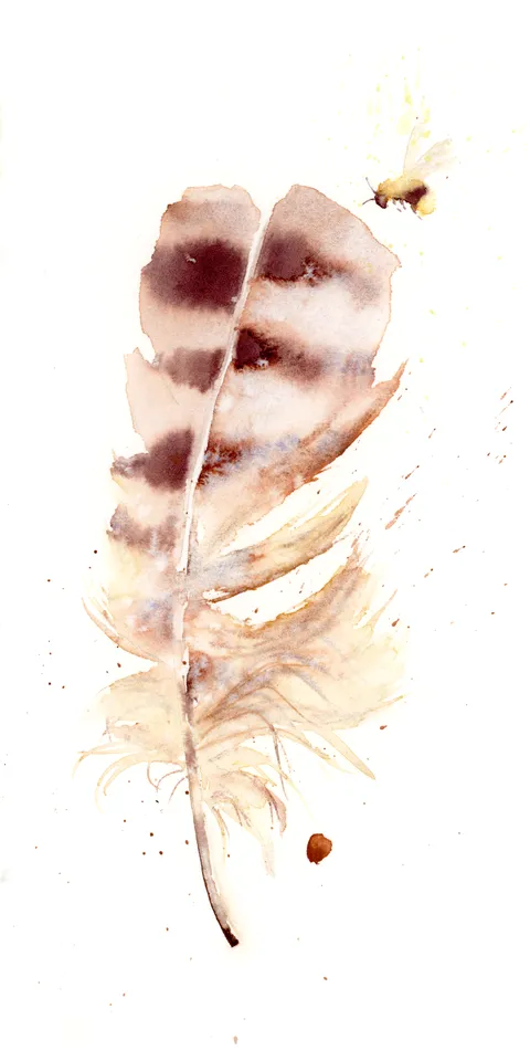 Image of a feather watercolor painting by Shayna Larsen, originals & prints available