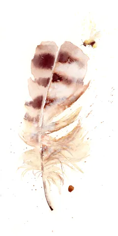 Image of a feather watercolor painting by Shayna Larsen, originals & prints available