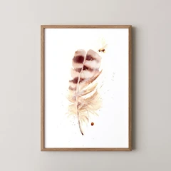 Image of a feather watercolor painting by Shayna Larsen, originals & prints available