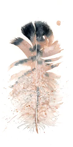 Image of a feather watercolor painting by Shayna Larsen, originals & prints available