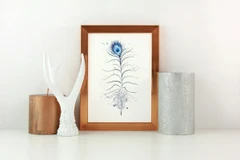 Image of a feather watercolor painting by Shayna Larsen, originals & prints available