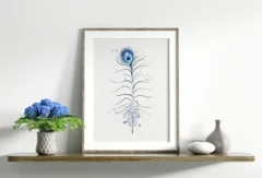 Image of a feather watercolor painting by Shayna Larsen, originals & prints available